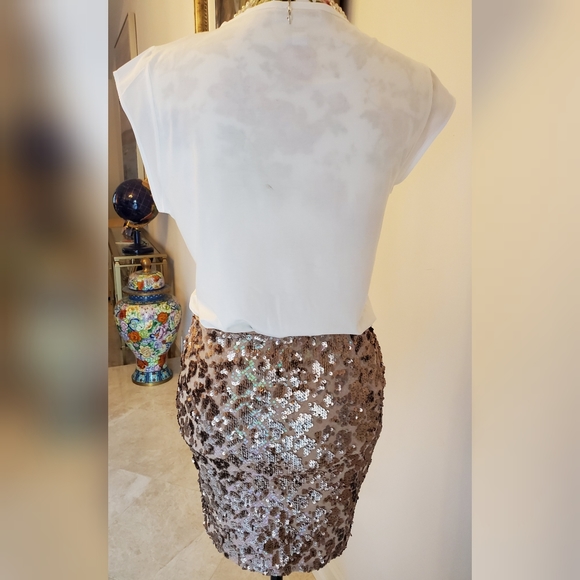 Joie Sequin Nude Tonal Mini Skirt $428 - Picture 8 of 13